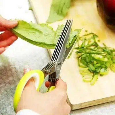 Vegetable cutting scissors