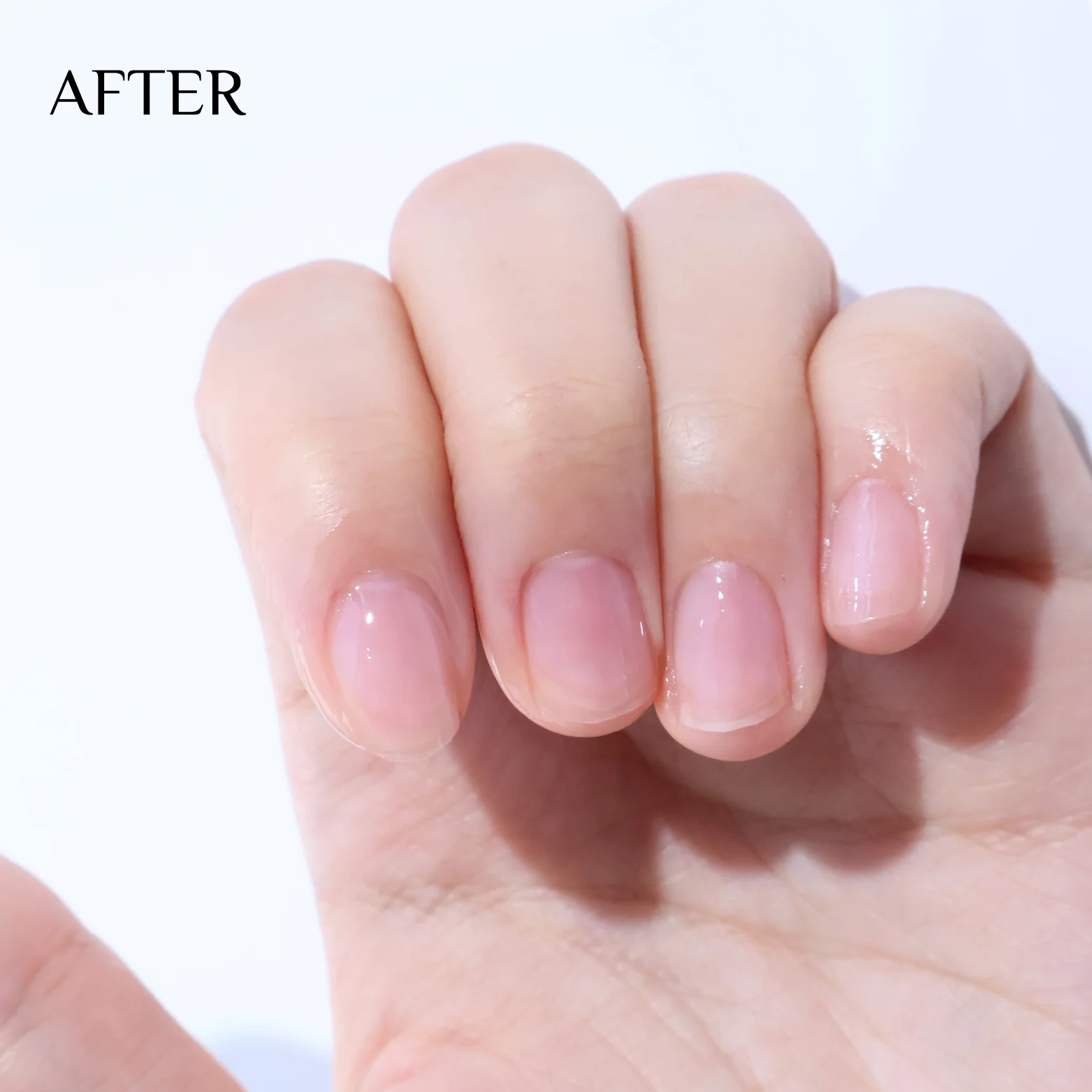 196-4b750fc3-88c2-4d3e-be9c-5c420f5d44fe-2048x2048