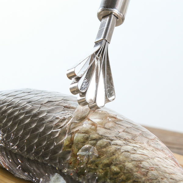 Premium Stainless Steel Coconut Scraper